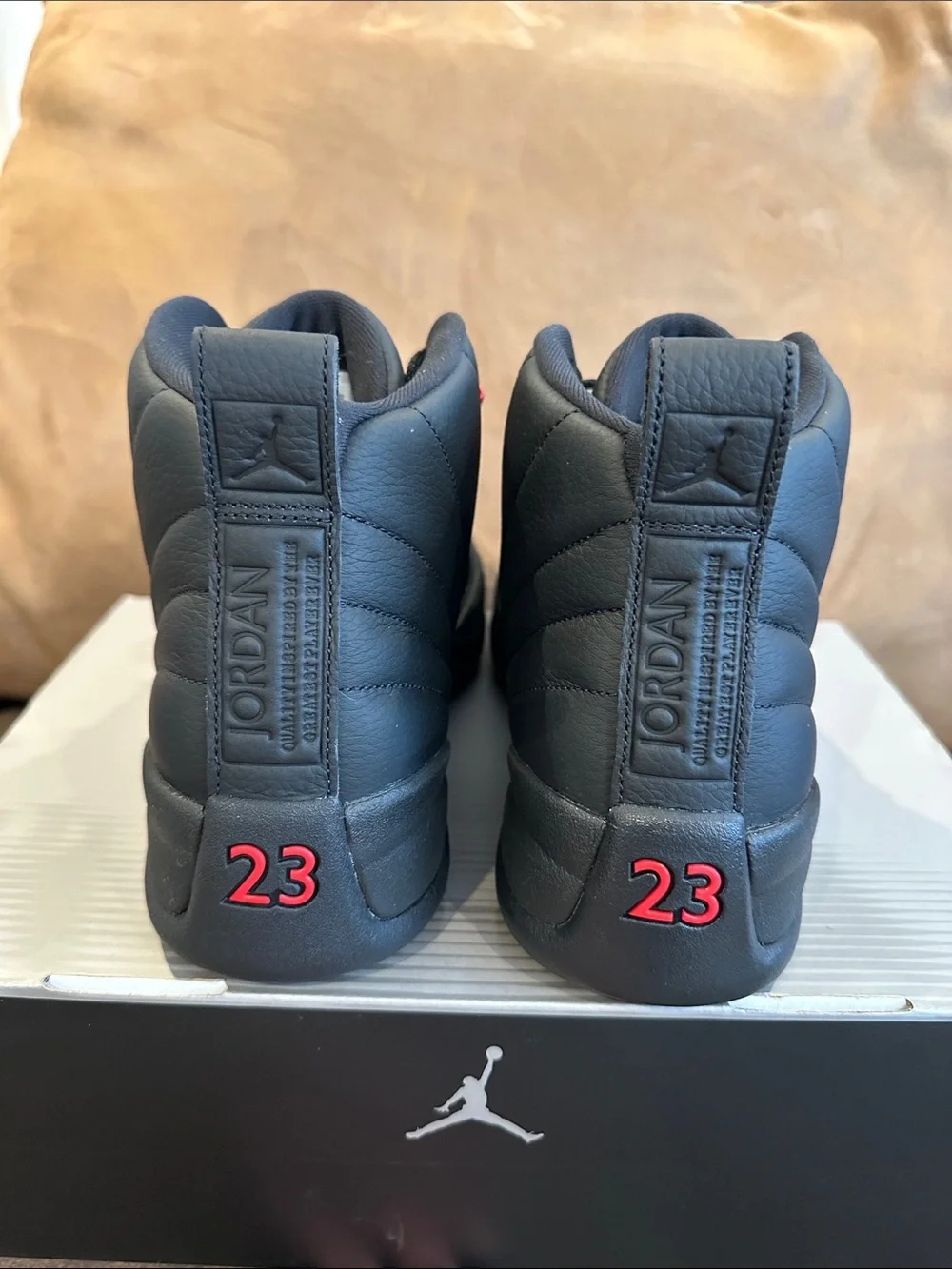 Jordan 12 retro